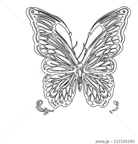butterfly animal outline illustration sketch butterfly animal outline illustration sketch 117105293