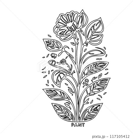 flower plant outline illustration sketch  117105412