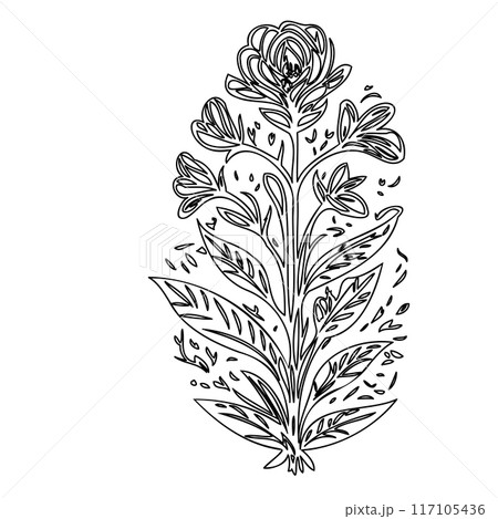 flower plant outline illustration sketch flower plant outline illustration sketch 117105436