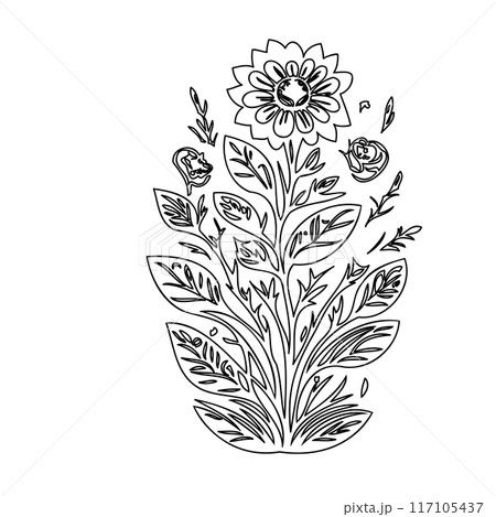 flower plant outline illustration sketch  117105437