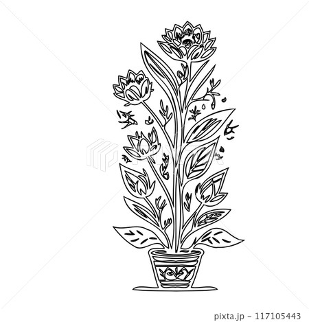 flower plant outline illustration sketch  117105443