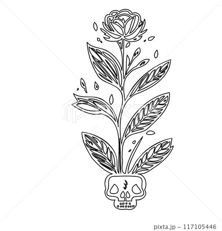 flower plant outline illustration sketch  117105446