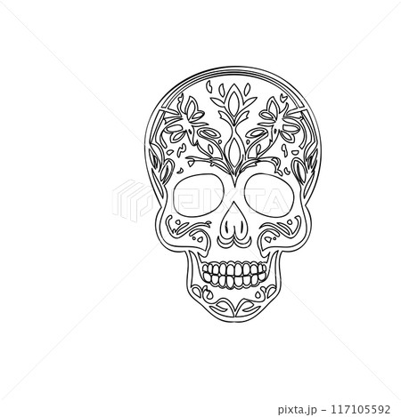 day of the dead skull outline illustration sketch  117105592