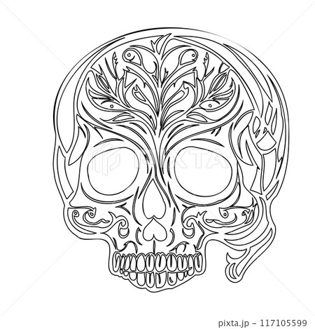 day of the dead skull outline illustration sketch  117105599