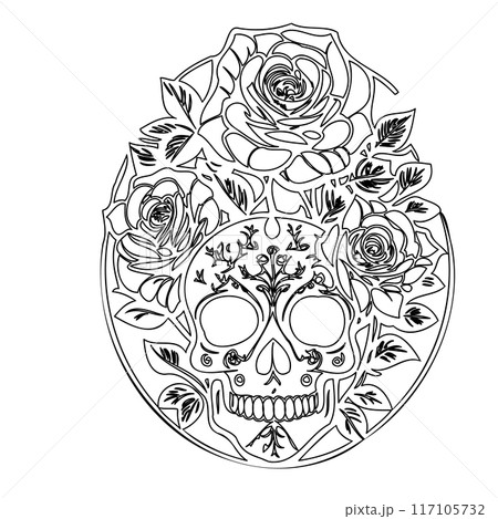 roses flower outline illustration sketch  117105732
