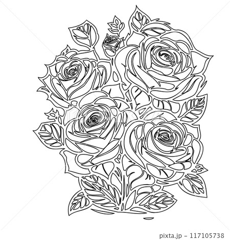 roses flower outline illustration sketch  117105738