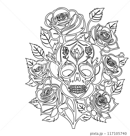 roses flower outline illustration sketch  117105740