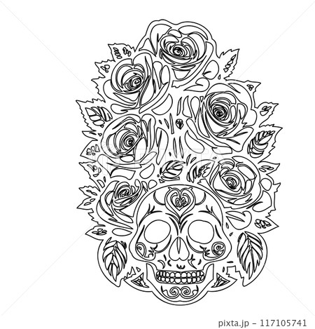 roses flower outline illustration sketch  117105741
