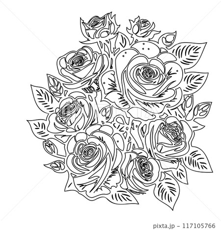 roses flower outline illustration sketch roses flower outline illustration sketch 117105766