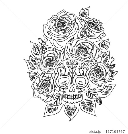 roses flower outline illustration sketch  117105767