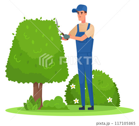 Man trimming green tree foliage. Gardener work 117105865