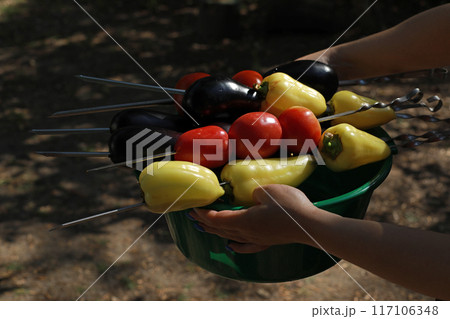 A woman holds grilled vegetables in her hands, tomatoes, sweet peppers and eggplants. Fried vegetable salad 117106348