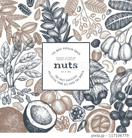 Hand Drawn Nuts Branch And Kernels Template. Organic Seed Vector Design. Retro Nut Illustration. Engraved Style Botanical Banner. Hand Drawn Nuts Branch And Kernels Template. Organic Seed Vector Design. Retro Nut Illustration. Engraved Style Botanical Banner. 117106779