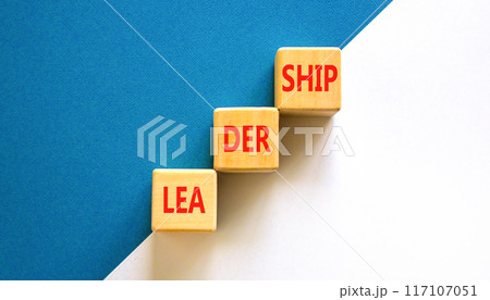 Leadership symbol. Concept word Leadership on beautiful wooden blocks. Beautiful white and blue background. Business leadership concept. Copy space. Leadership symbol. Concept word Leadership on beautiful wooden blocks. Beautiful white and blue background. Business leadership concept. Copy space. 117107051