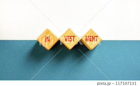 Investment symbol. Concept word Investment on beautiful wooden blocks. Beautiful blue and white background. Business investment concept. Copy space. 117107131