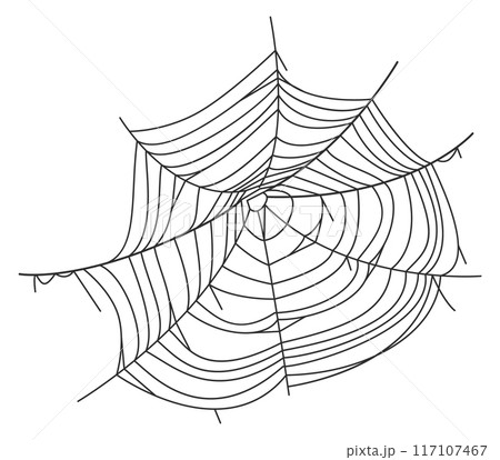 Spider web. Arachnid old net. Grungy element Spider web. Arachnid old net. Grungy element 117107467