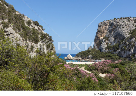 Cala Luna Beach Sardinia Scenic View 117107660