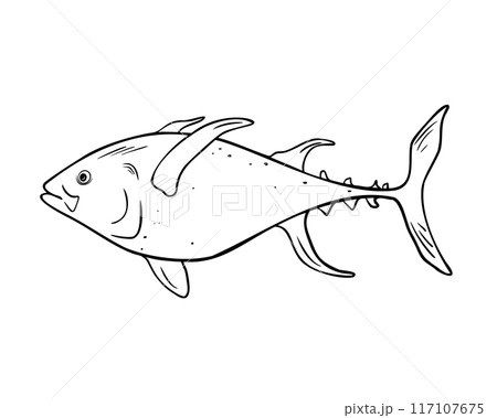 Single tuna fish black and white vector illustration isolated. Kingfish hand drawn ink silhouette. Simple fish King Mackerel contour. Yellowtail in line art for package, label, menu, market Single tuna fish black and white vector illustration isolated. Kingfish hand drawn ink silhouette. Simple fish King Mackerel contour. Yellowtail in line art for package, label, menu, market 117107675