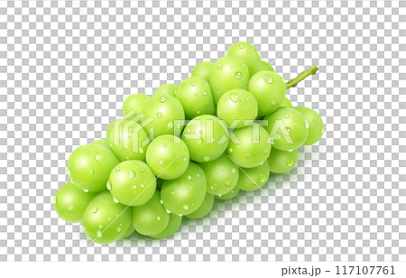 閃耀馬斯喀特插圖真正的葡萄 117107761