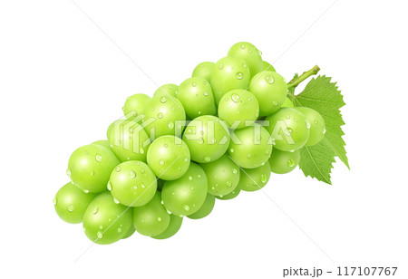 シャインマスカット イラスト リアル ぶどう シャインマスカット イラスト リアル ぶどう 117107767