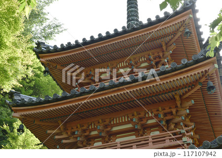 三重塔　三室戸寺　宇治市 117107942