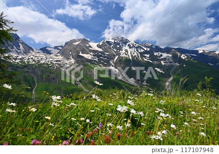 A bench with a view of the mountains in Austria. Landscape with nature in the Alps. A great place for sports, recreation and outdoor activity holidays. A bench with a view of the mountains in Austria. Landscape with nature in the Alps. A great place for sports, recreation and outdoor activity holidays. 117107948
