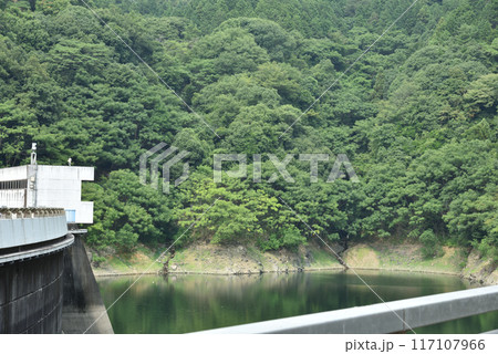 水位が下がっている鳳凰湖 天ヶ瀬ダム 水位が下がっている鳳凰湖 天ヶ瀬ダム 117107966