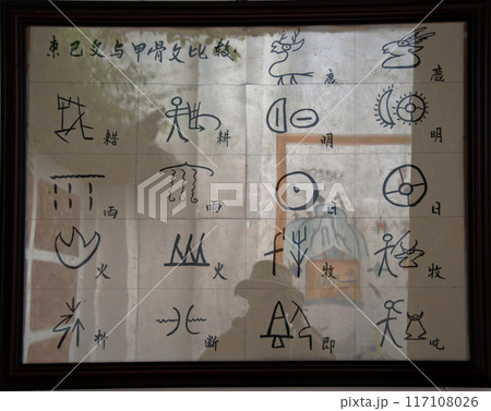 中国　雲南省　麗江市街　トンパ文字と甲骨文字の比較 117108026