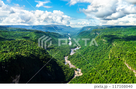Aerial view of the Potaro river valley near Kaieteur Falls in Guyana, South America 117108040
