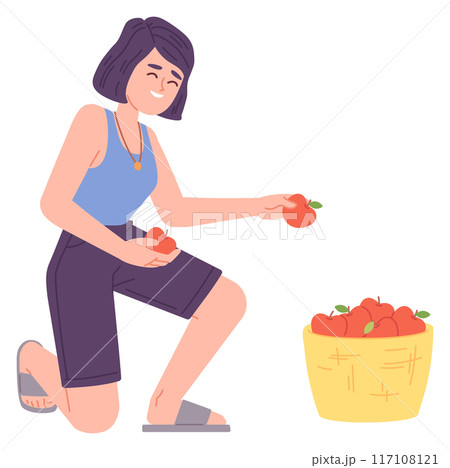 Woman gather apples into basket. Natural organic fruits Woman gather apples into basket. Natural organic fruits 117108121