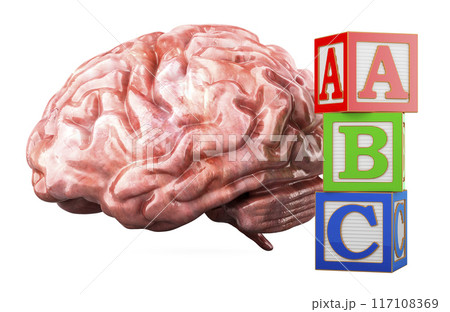 Early Development concept. Brain with ABC Wooden Blocks Alphabet Letters Learning Block Set. 3D rendering Early Development concept. Brain with ABC Wooden Blocks Alphabet Letters Learning Block Set. 3D rendering 117108369