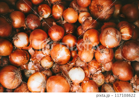Pile of fresh organic onions 117108622
