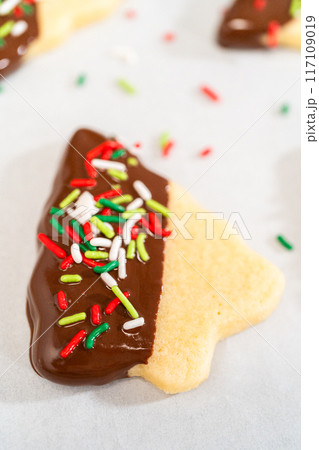 Buttery cookies half-dipped in chocolate, sprinkled with festive red, green, and white decorations, laid on white parchment to set. Buttery cookies half-dipped in chocolate, sprinkled with festive red, green, and white decorations, laid on white parchment to set. 117109019