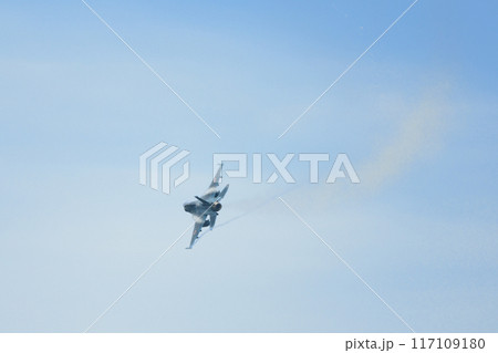 旋回する航空自衛隊F-2戦闘機 117109180