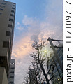 ビルの間から見える夕日 117109717