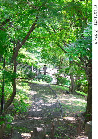 戸山公園の緑 戸山公園の緑 117110443