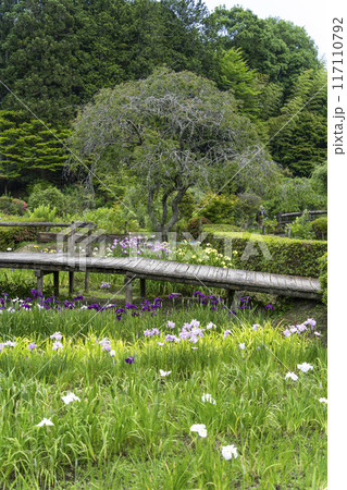 花の郷 滝谷 花の郷 滝谷 117110792