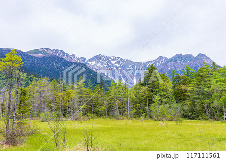 日本屈指の山岳リゾート 新緑の上高地 田代湿原と穂高連峰 日本屈指の山岳リゾート 新緑の上高地 田代湿原と穂高連峰 117111561