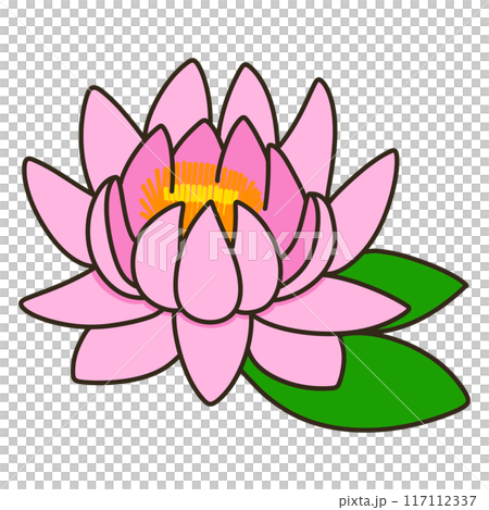 スイレン スイレン 117112337