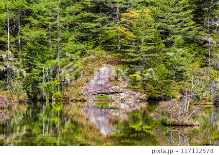 日本屈指の山岳リゾート　新緑の上高地　明神池 117112578