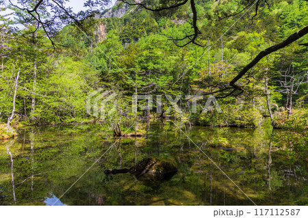 日本屈指の山岳リゾート 新緑の上高地 明神池 日本屈指の山岳リゾート 新緑の上高地 明神池 117112587