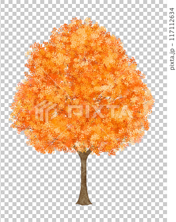 Red leafed tree Red leafed tree 117112634