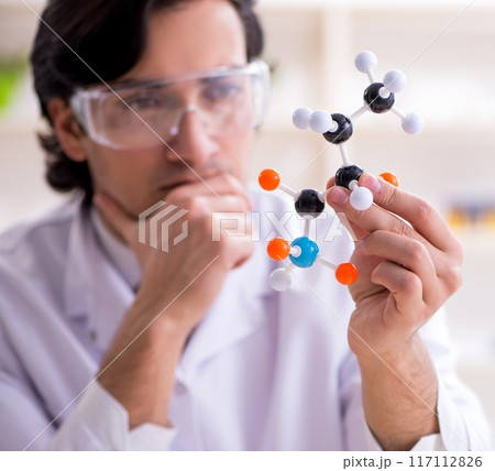 Young male scientist working in the lab Young male scientist working in the lab 117112826