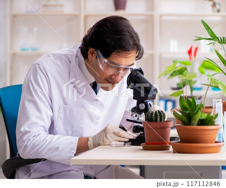 Biotechnology chemist working in lab 117112846