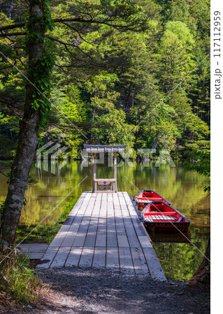 日本屈指の山岳リゾート　新緑の上高地　明神池 117112959