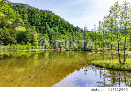 日本屈指の山岳リゾート 新緑の上高地 明神池 日本屈指の山岳リゾート 新緑の上高地 明神池 117112966
