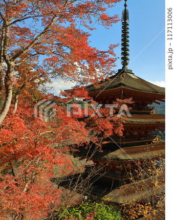 奈良県桜井市の総本山長谷寺　紅葉の五重塔 117113006