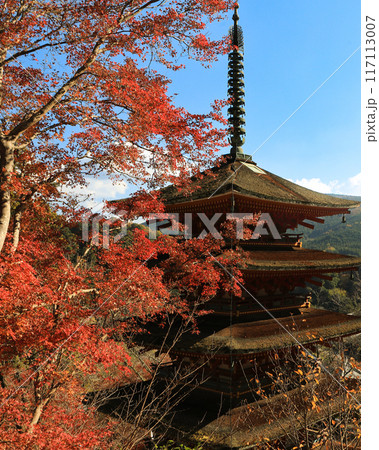 奈良県桜井市の総本山長谷寺　紅葉の五重塔 117113007