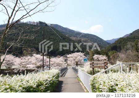 埼玉県飯能市上名栗の名栗ふれあい公園の風景 埼玉県飯能市上名栗の名栗ふれあい公園の風景 117113216