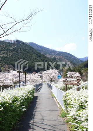 埼玉県飯能市上名栗の名栗ふれあい公園の風景 埼玉県飯能市上名栗の名栗ふれあい公園の風景 117113217